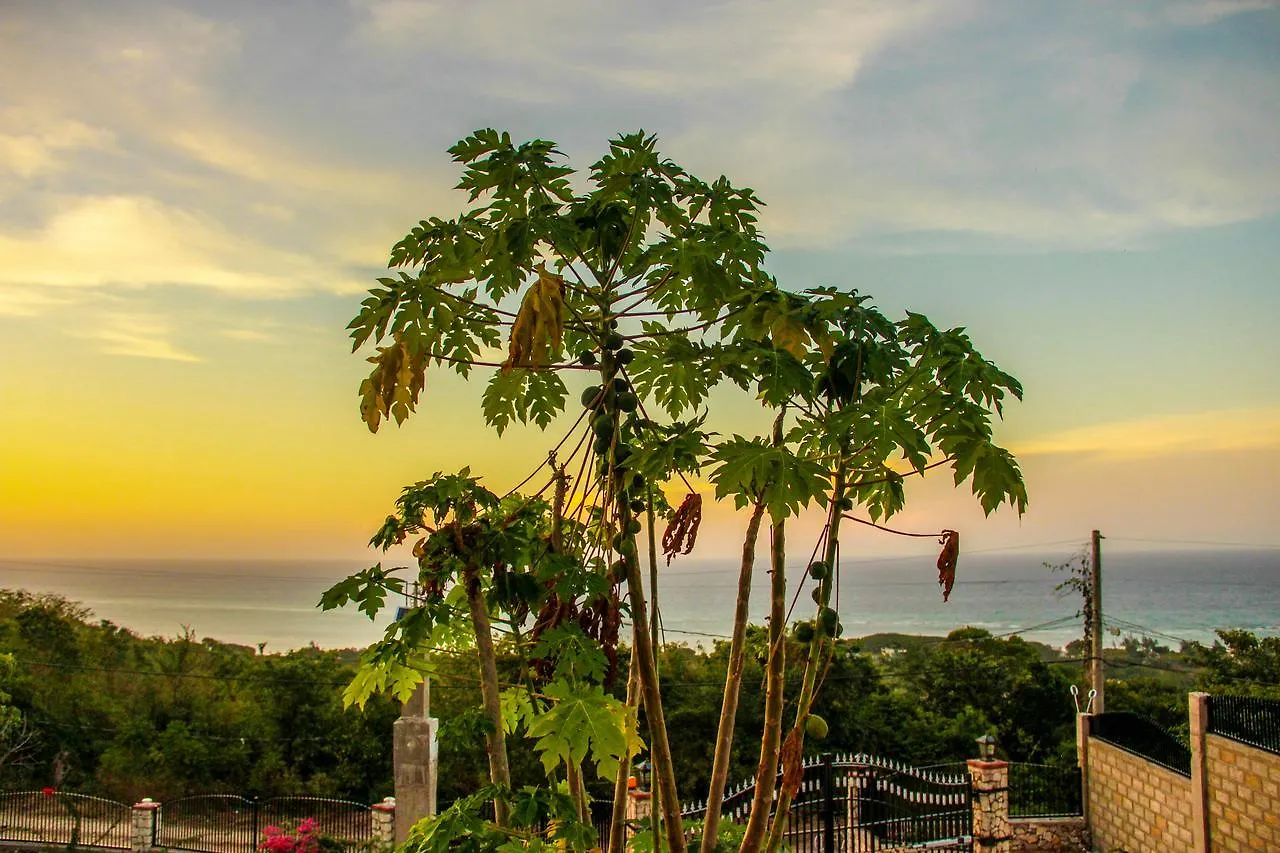 Sunshine Lodge: Your Home Away From Home Montego Bay 0*,  Jamaica